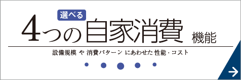 4つの自家消費